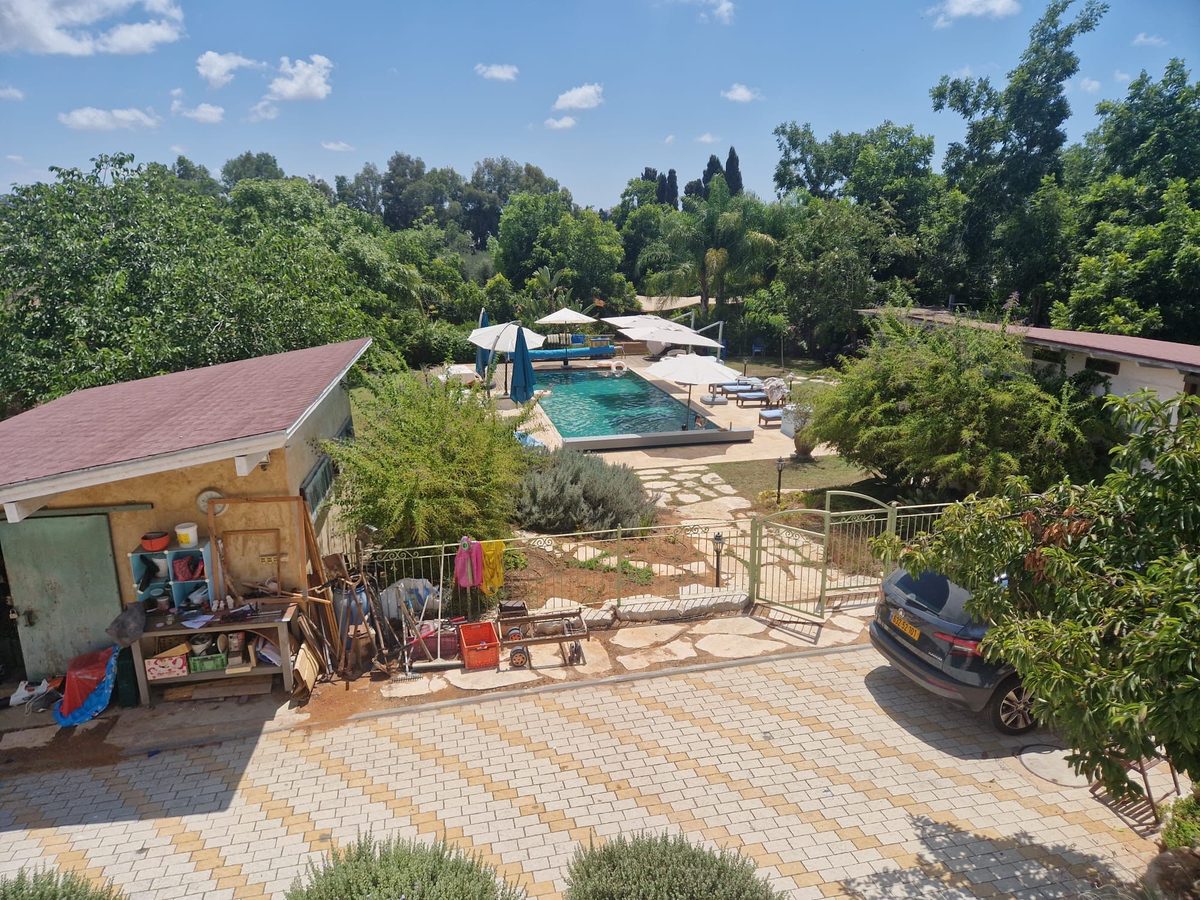 הבריכה — זווית נוספת